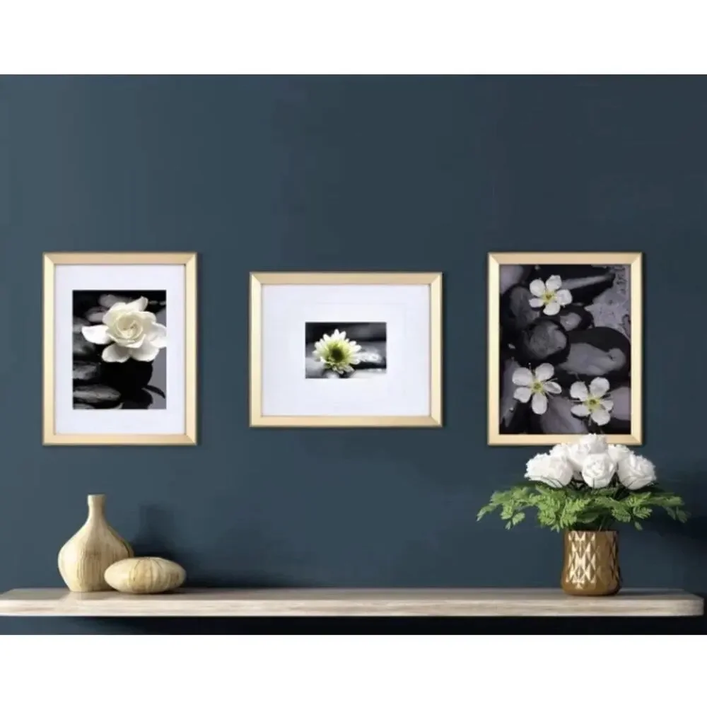 Mikasa Home Accents Gold Wall Photo Frame Set 3 Piece 11x14 NEW